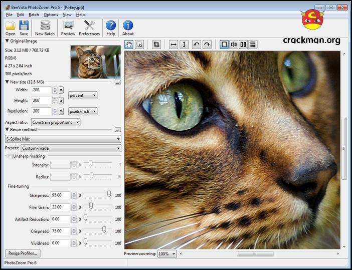 Benvista Photozoom Pro mới nhất | Phóng to và thu nhỏ ảnh không vỡ hạt