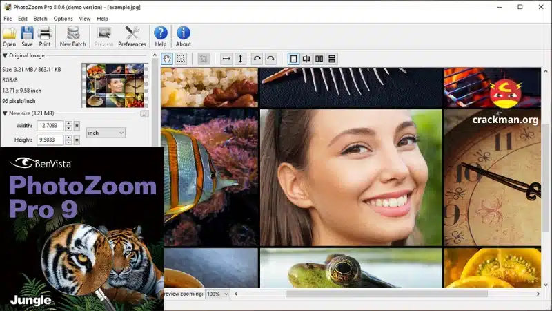 BenVista PhotoZoom