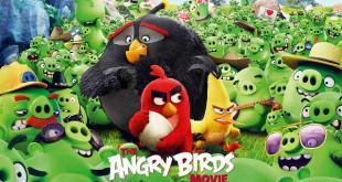 Angry Birds Movie - Những chú chim nổi giận (2016) bản CAM