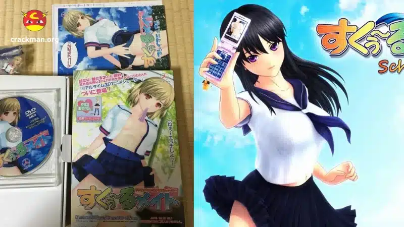 School Mate 1, School Mate 2